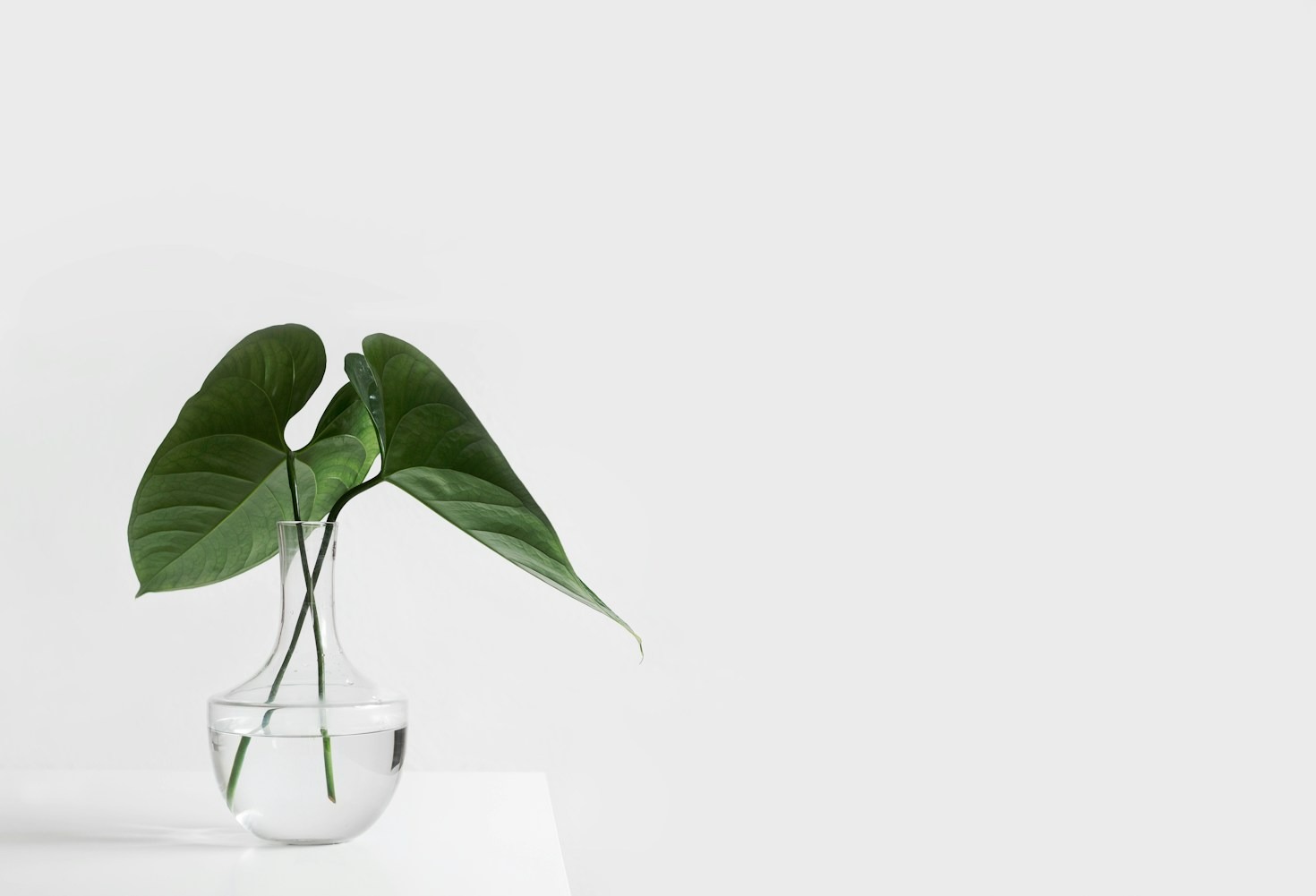 The Beauty of Collaboration in Creative Ventures